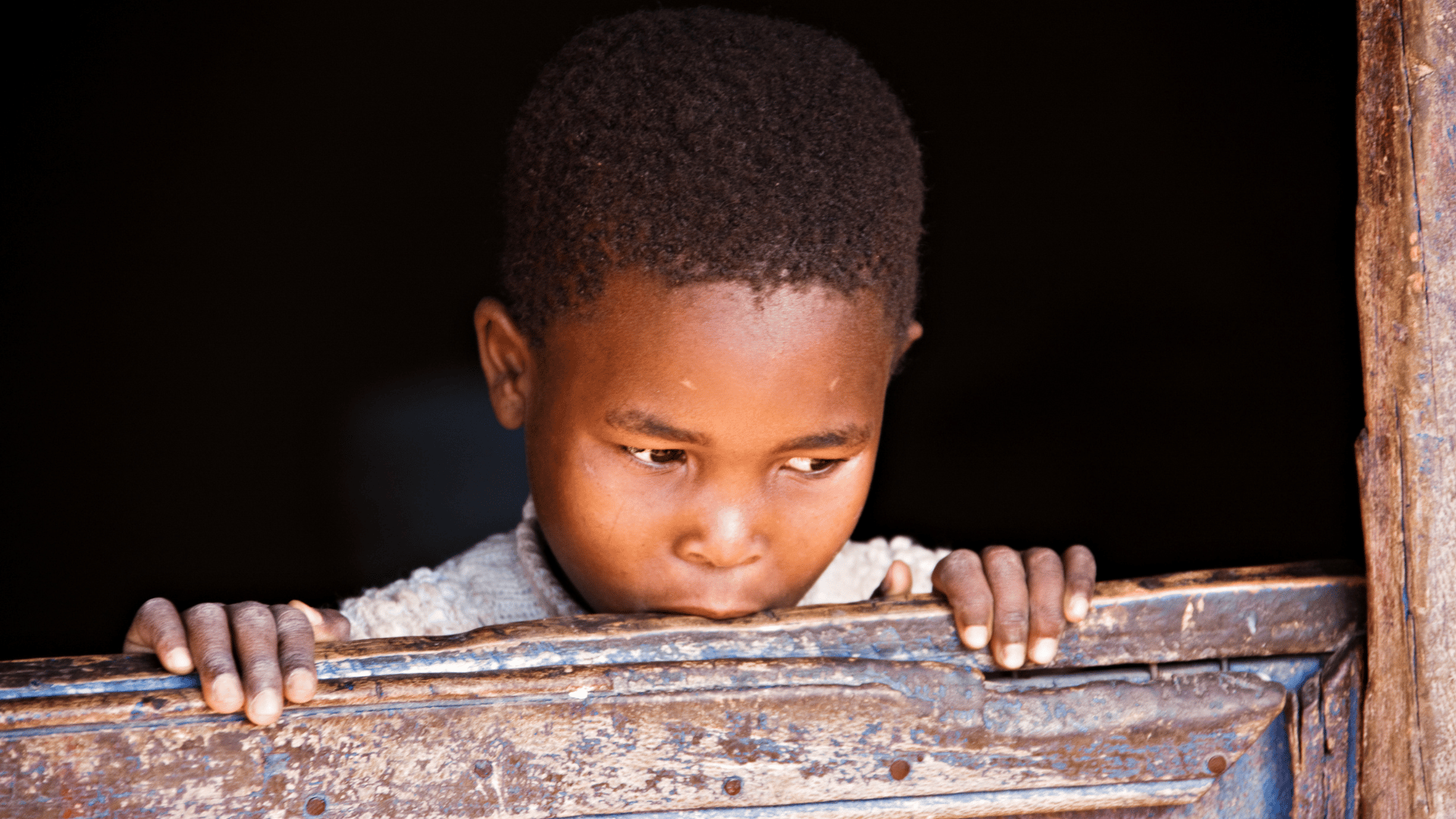 Food Pack Appeal
